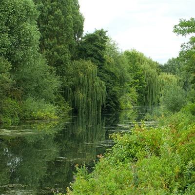 best365体育版官网下载